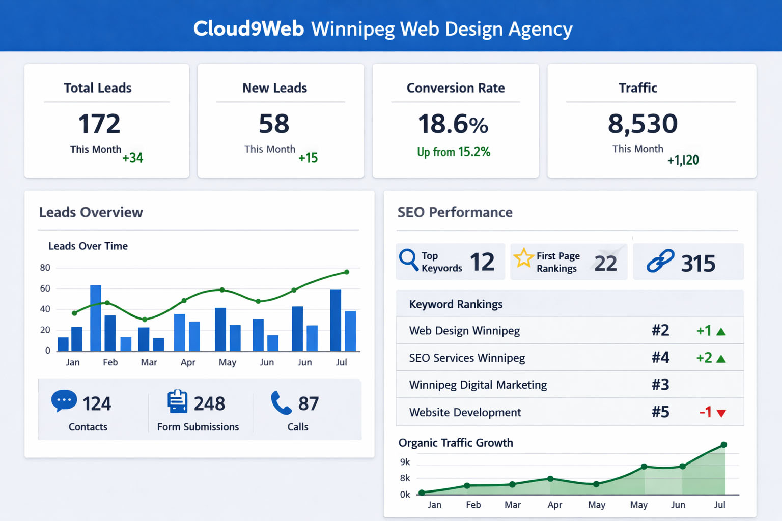 Winnipeg Web Design Agency results dashboard example with leads and SEO tracking